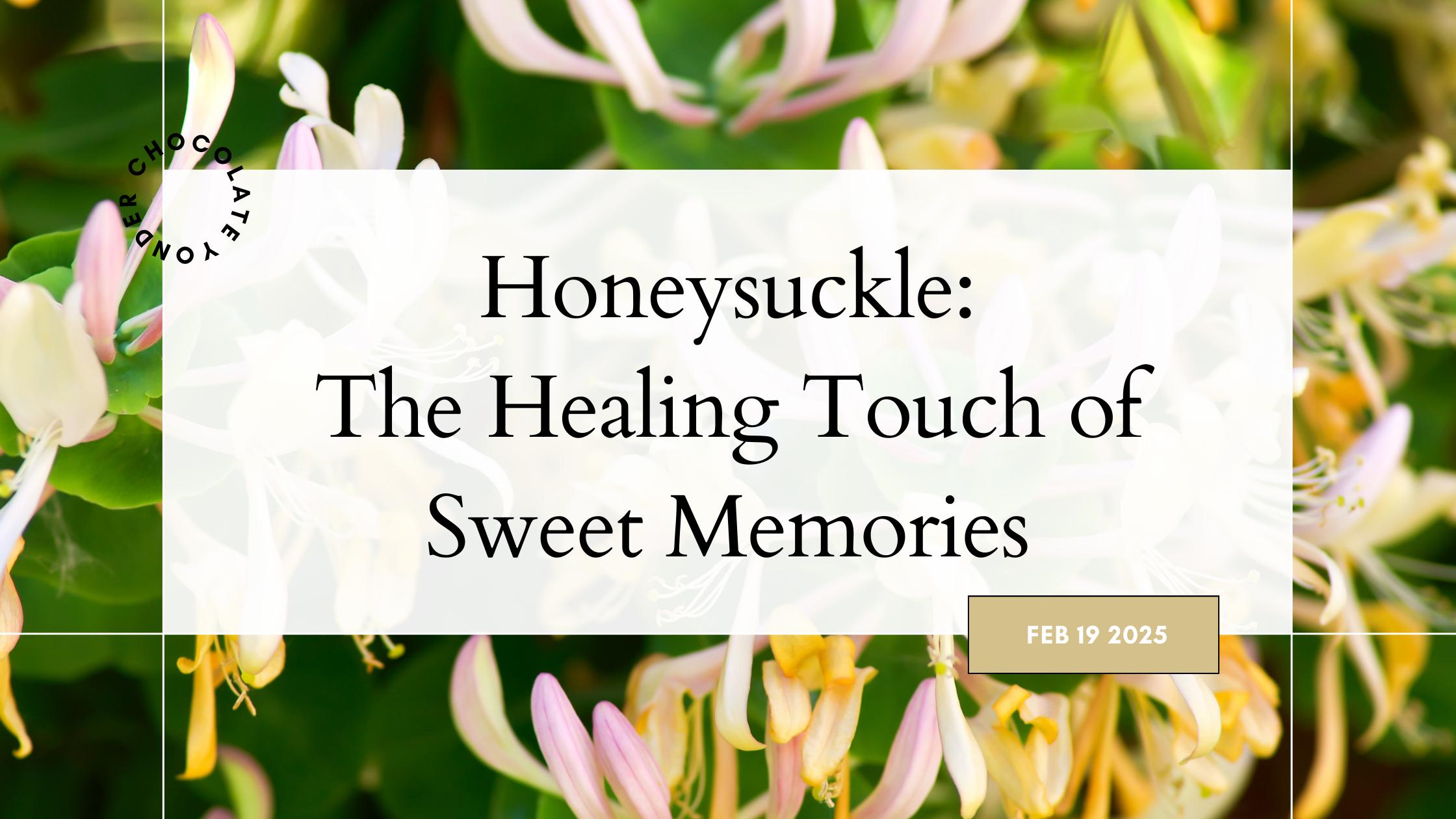 Honeysuckle: The Healing Touch of Sweet Memories